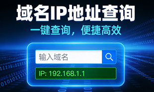 域名IP地址批量查詢_在線批量查詢網(wǎng)站IP地址_超級蜘蛛池